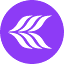 cashmereagency.com