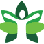cbdd.nl