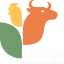 cbfeed.uz
