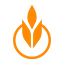 culinary.edu