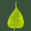 dharmaseed.org