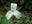gardensoftheblueridge.com