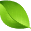 healthua.info