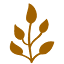 lissatheshop.com