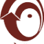 nabfins.org