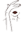 ngkbyngk.com