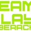 teamandplayer.info