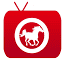totalhorsechannel.com