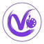 vipartfair.com