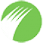 alternativegrass.com