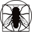 blackfly.ru