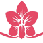 centrofioricasilino.com