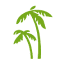 dominicanplus.com
