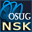 dosugnovosib.ru