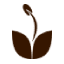 findanexercisepartner.com