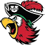 gobarrybucs.com