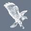 hawkinnamport.co.uk