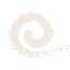 offshorenoosa.com.au