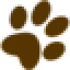 onlyzoo.net
