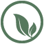 prayvine.org