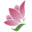 pureplantessentials.com