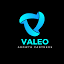 valeogrowth.com