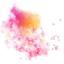 widebayweddings.com.au