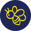 beelinetour.com