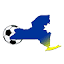 cdysl.org