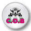cobcreditunion.com