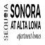 elevatetosonora.com