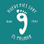 escueladesurf9pies.com