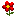 flowerstoday.ru