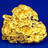 goldrushnuggets.com