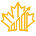 iconews.ca