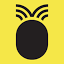 pineapple.net.au