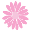 steisydaisy.com