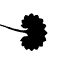 tundratraitteam.github.io