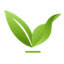 biomag-nature-vitalite.com