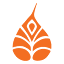 bodhitreeyogaresort.com