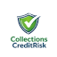 collectionscreditrisk.com