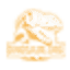 dinosaur.org
