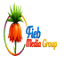 fiebbilisim.com