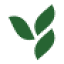 herbalshop.co.za