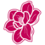 homebypiia.com