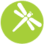 libelula.com.pe