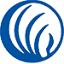 namiccny.org