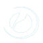 pulse-origin.com