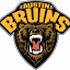 austinbruins.com