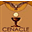 cenacle.co.uk